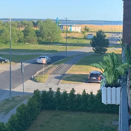 Merikotka * Kuressaare